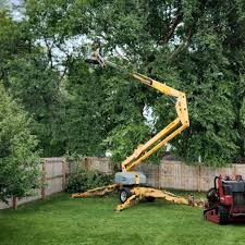  Beverly, MA Tree Care Pros